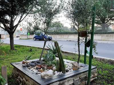 Qui improvvisati muretti a secco contornano mini aiuole �zen�, in cui le piante grasse spuntano tra i ciottoli bianchi